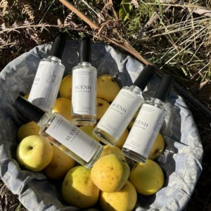 Lotion pommes
