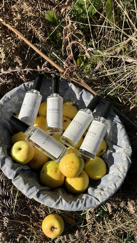 Lotion pommes