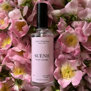 Rosiers sauvage